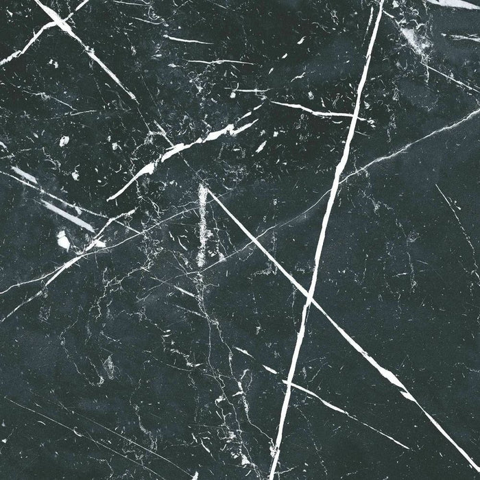 Calacatta Marble Grand Nero 50cm x 50cm FULL TILE SAMPLE