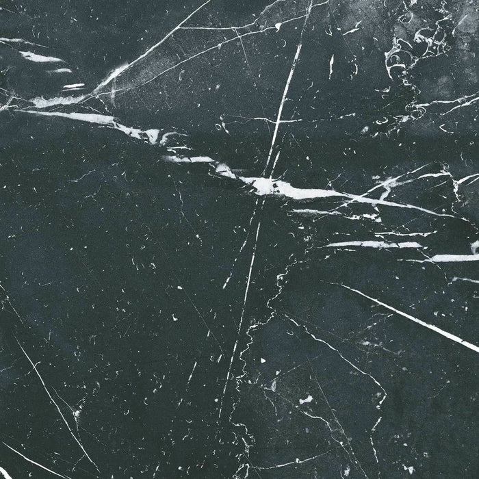 Calacatta Marble Grand Nero 50cm x 50cm FULL TILE SAMPLE