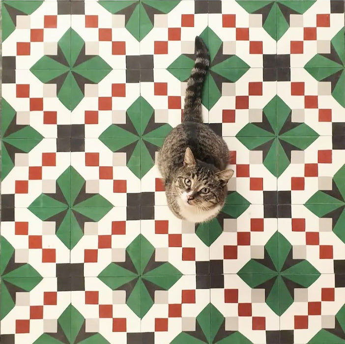 Top-down view of Geometry Green Clover 20x20cm patterned tiles showcasing the repeating geometric design in green, white and red tones, with a cat centred on the floor to highlight scale and pattern.