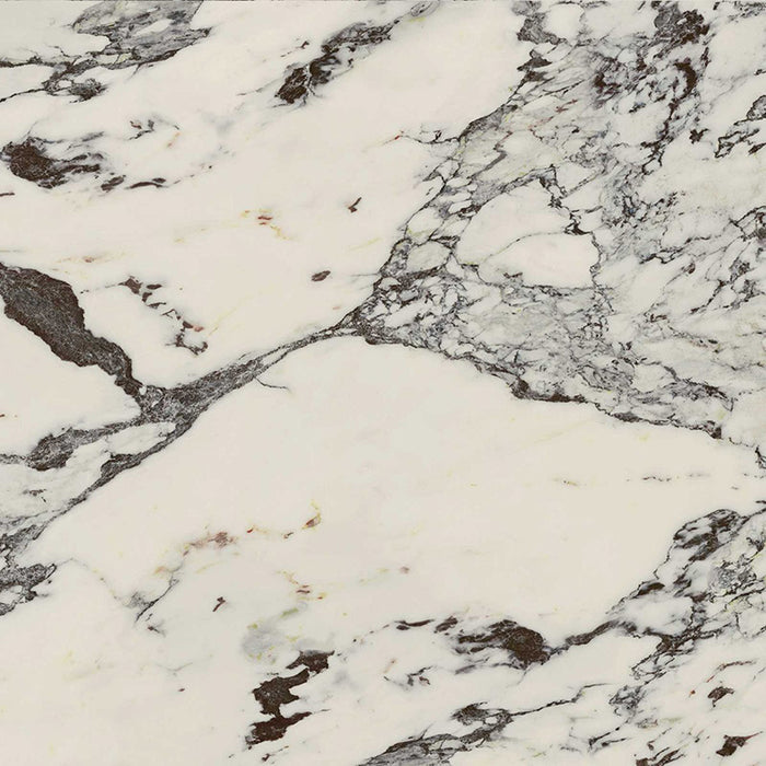 Close-up of Maine Capraia Matt Marble 60 × 60cm porcelain tile, highlighting a soft white base with bold, organic dark veining and subtle tonal variation for a refined, natural marble effect.