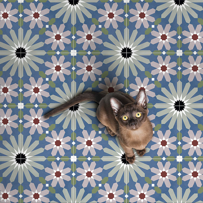 Floor styled with Fizaan Artisan Moroccan-style 20×20cm porcelain tiles, featuring a blue, green and soft pink geometric pattern with a cat for scale.