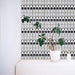 Alhambra Felisa 20x20cm Moroccan tiles used as a feature wall with a striking black and white linear pattern and circular motifs, styled with a green potted plant for a modern minimalist look.