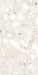 Close-up of Venetian Ivory 60cm x 120cm terrazzo effect matt porcelain tile, showcasing soft ivory, cream and beige tones with natural stone-inspired aggregates for elegant contemporary wall and floor designs.