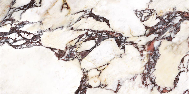 Close-up of Grand Violetta Polished Marble effect 60 × 120cm porcelain tile, featuring a soft cream base with bold burgundy and charcoal veining, subtle golden accents, and a high-gloss finish that enhances depth and movement.