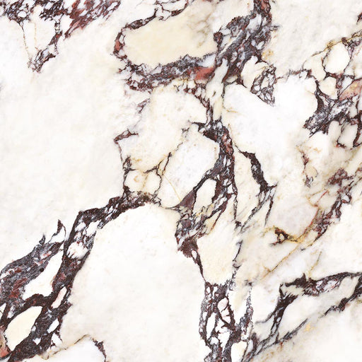 Close-up of Grand Violetta Polished Marble effect 60 × 60cm porcelain tile, showcasing a creamy base with bold burgundy and charcoal veining, high-gloss finish, and natural stone-inspired pattern variation.