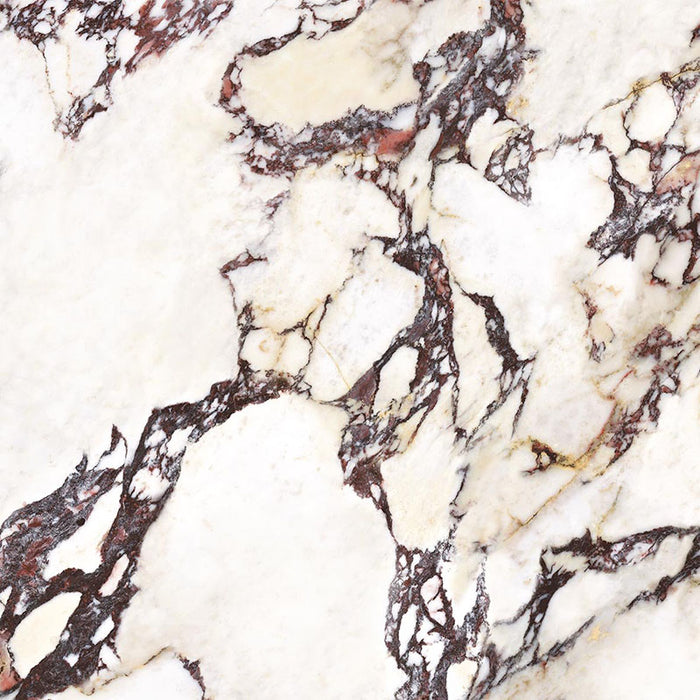 Close-up of Grand Violetta Polished Marble effect 60 × 60cm porcelain tile, showcasing a creamy base with bold burgundy and charcoal veining, high-gloss finish, and natural stone-inspired pattern variation.