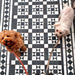 Walkway featuring Sloane Square Black and White 25x25cm Victorian-style ceramic floor tiles arranged in a classic geometric pattern, shown in an outdoor setting with two small dogs standing on the tiled path.
