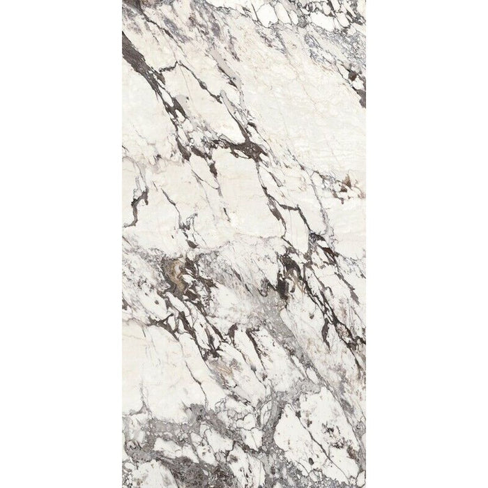 Maine Capraia Matt Marble Porcelain 30cm x 60cm CUT TILE SAMPLE