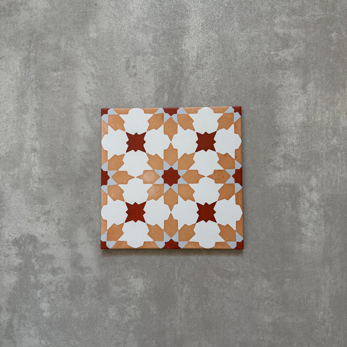 Mamounia Clay| Moroccan Tiles | Wall & Floor Tiles | 20cm x 20cm