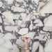 Video of Fitzrovia Calacatta Viola honed natural marble tile in a 15.2cm x 15.2cm square format, featuring a creamy white background with bold purple veining and subtle warm gold tones, creating a luxurious and timeless natural stone finish.