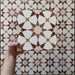 Video showcasing Agraba Cotto 20x20cm Moroccan-style ceramic tiles, featuring a warm terracotta, beige, and white geometric star pattern with a matt finish, shown in close-up under natural light.