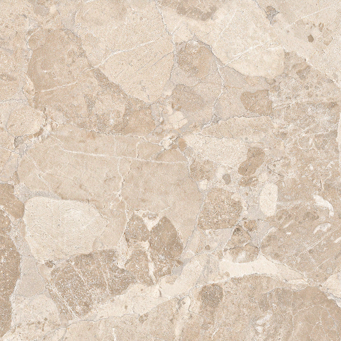 CUT TILE SAMPLE Jeddah Avorio Sassi Terrazzo Stone | Wall & Floor Tiles | 60cm x 60cm