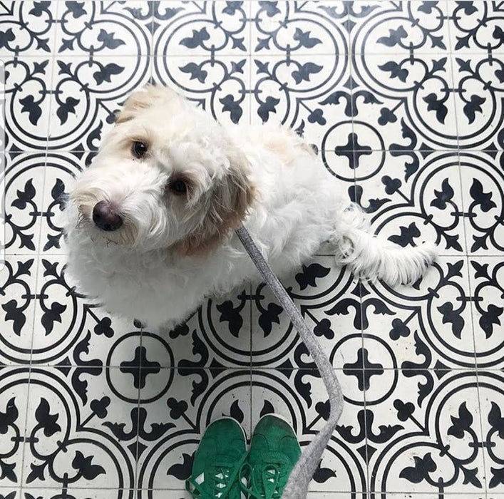 Paris Vintage White  Moroccan Victorian Outdoor Tiles 25cm x 25cm FULL TILE SAMPLE