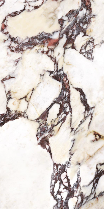 CUT TILE SAMPLE Grand Violetta *Polished* Marble style | Porcelain Wall & Floor Tiles | 60cm x 120cm